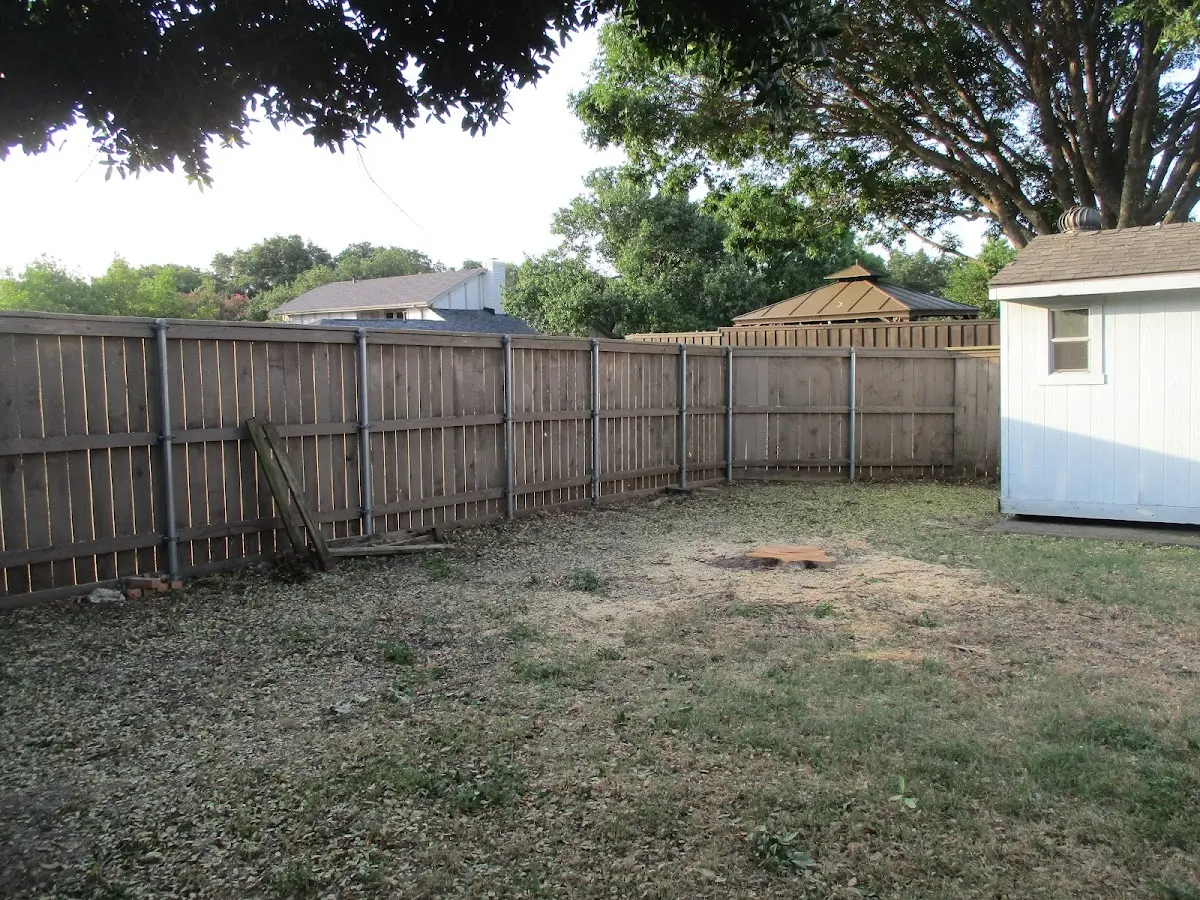 Cleared yard after professional tree removal in Hudson